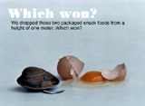 Clam vs. Egg Ad